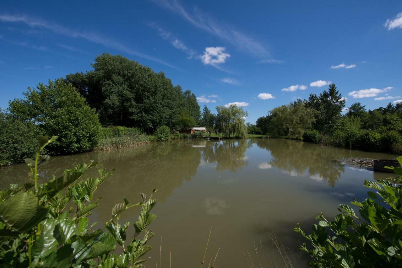Gite Des Peupliers Girondelle Exteriör bild